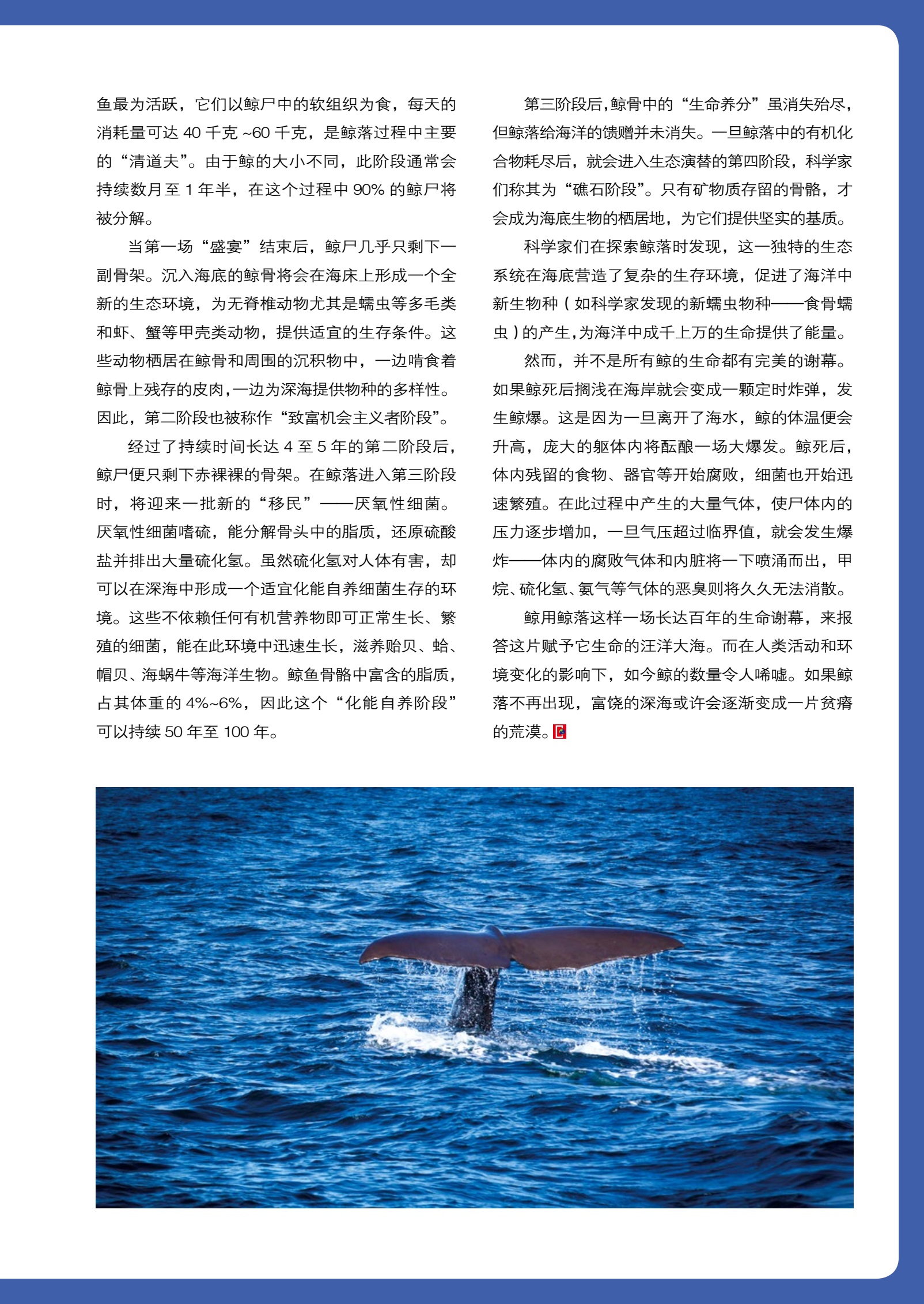 “一鲸落万物生”——世界上最温柔、最有意义的死亡_深海